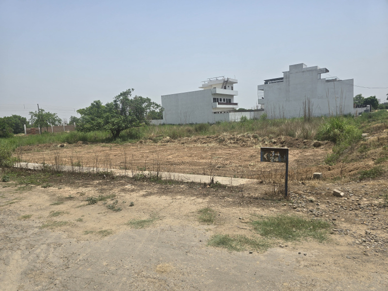  Residential Plot 502 Sq. Yards for Sale in Sector 34 Ambala