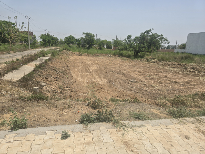  Residential Plot 502 Sq. Yards for Sale in Sector 34 Ambala