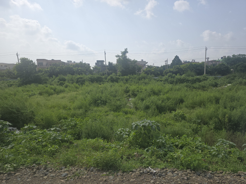  Residential Plot 162 Sq. Yards for Sale in Sector 21 Panchkula