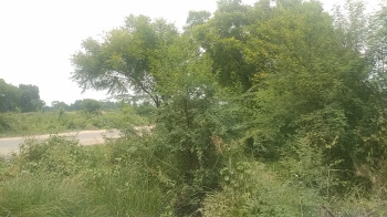  Agricultural Land for Sale in Kalli Paschim, Lucknow