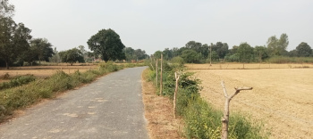  Industrial Land for Sale in Nawabganj, Unnao