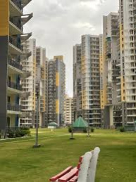 3 BHK Flat for Sale in Sector 1 Dharuhera