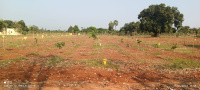  Agricultural Land for Sale in Mylavaram, Krishna