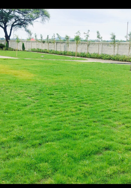  Residential Plot 800 Sq.ft. for Sale in Ujjain Road, Indore