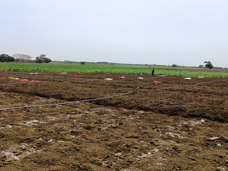  4 Acre Agricultural/Farm Land for Sale in Hirekerur, Haveri