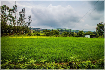  Agricultural Land for Sale in Thoseghar, Satara