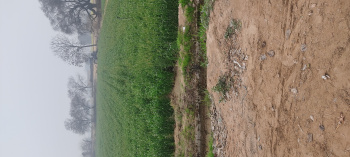  Agricultural Land for Sale in Satrod Khurd, Hisar