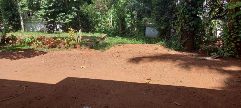  Residential Plot 33 Cent for Sale in Kottakkal, Malappuram