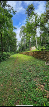  Agricultural Land for Sale in Yercaud, Salem