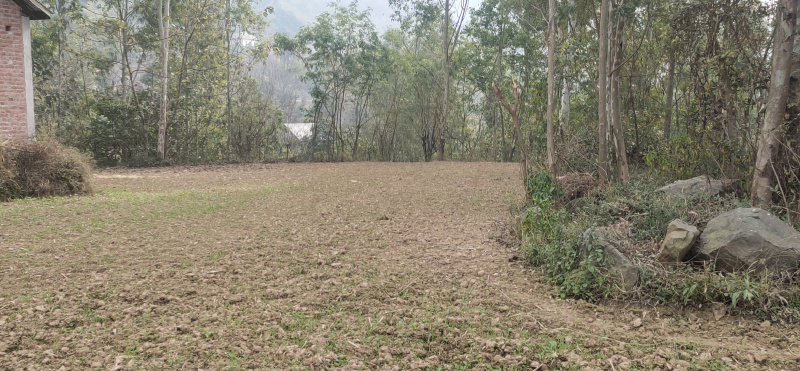  Residential Plot 10 Biswa for Sale in Ghumarwin, Bilaspur