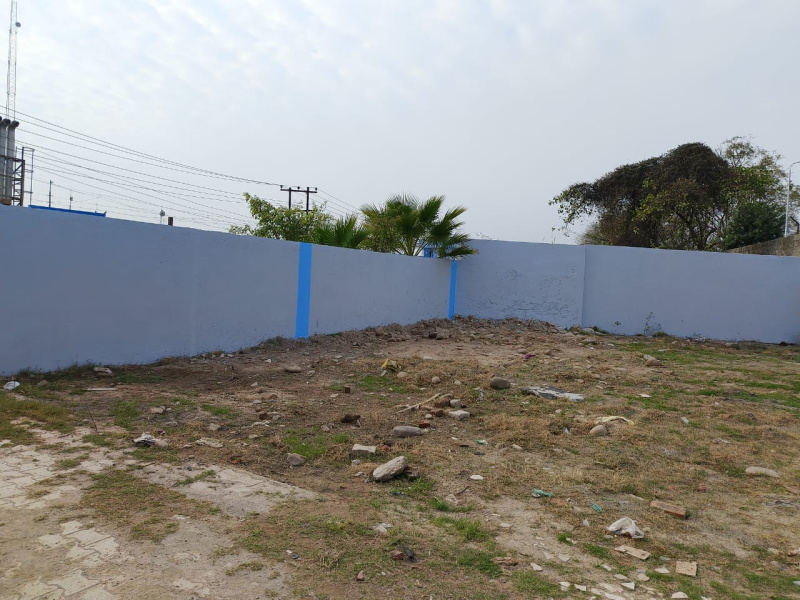  Industrial Land 6 Bigha for Sale in Baddi, Solan