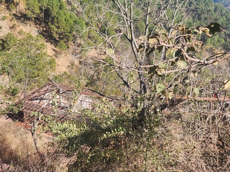  Residential Plot 46 Bigha for Sale in Kumarhatti, Solan