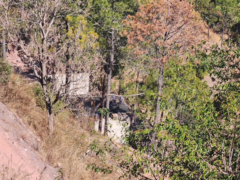  Residential Plot 46 Bigha for Sale in Kumarhatti, Solan
