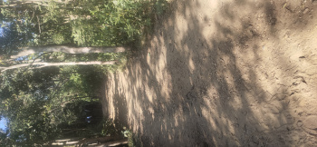 Residential Plot for Sale in Bhoranj, Hamirpur