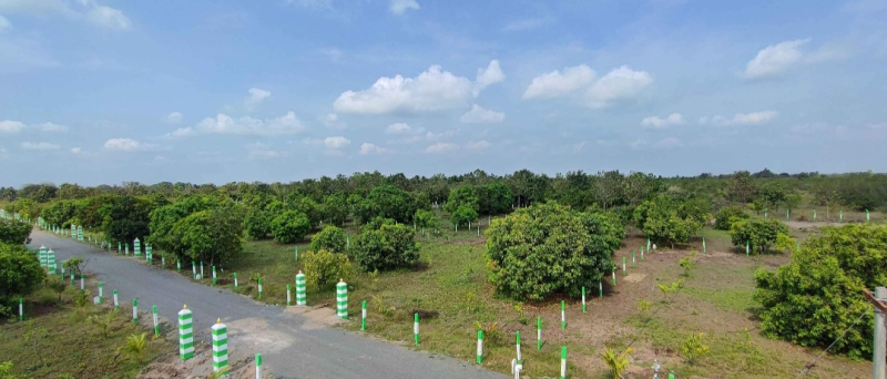  Agricultural Land 10000 Sq.ft. for Sale in Besant Nagar, Chennai