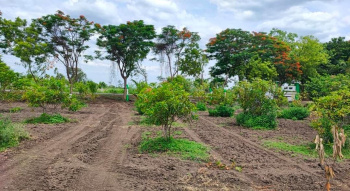  Agricultural Land for Sale in Marakkanam, Chennai