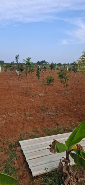  Agricultural Land 23 Cent for Sale in East Coast Road, Chennai
