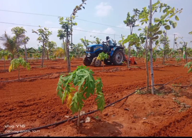  Agricultural Land 21 Cent for Sale in East Coast Road, Pondicherry