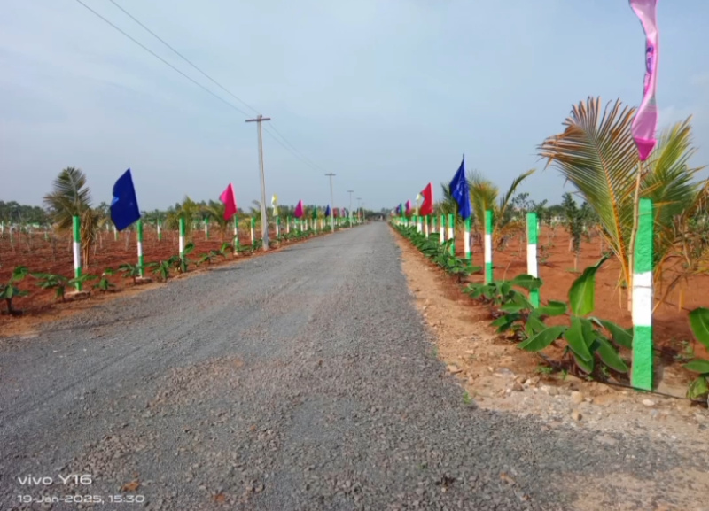  Agricultural Land 22 Cent for Sale in East Coast Road, Pondicherry