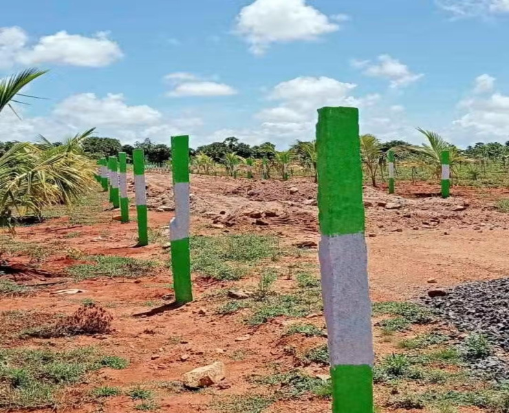  Agricultural Land 10000 Sq.ft. for Sale in Cheyyur, Chengalpattu