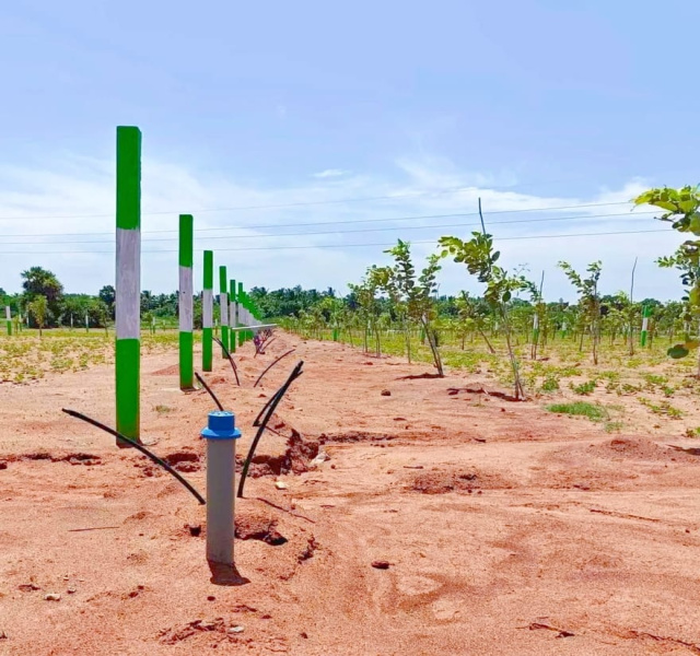  Agricultural Land 10000 Sq.ft. for Sale in Cheyyur, Chengalpattu