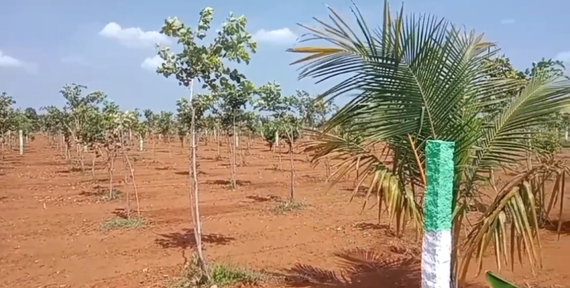  Agricultural Land 9700 Sq.ft. for Sale in East Coast Road, Pondicherry