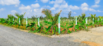  Agricultural Land 9700 Sq.ft. for Sale in Karunguzhi, Chengalpattu