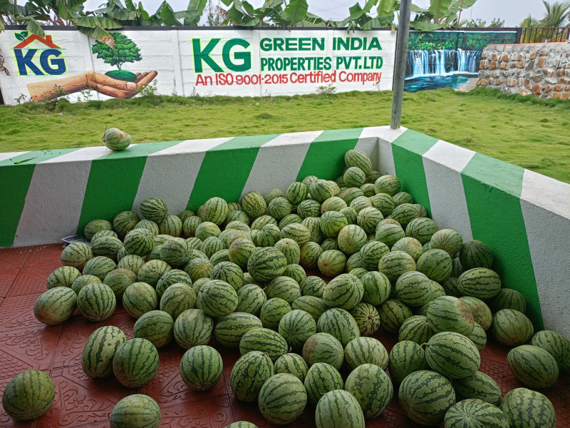  9600 Sq.ft. Agricultural/Farm Land for Sale in Maduranthakam, Chengalpattu