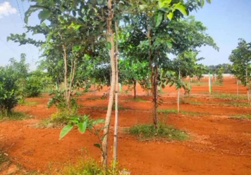  9600 Sq.ft. Agricultural/Farm Land for Sale in Chithamur, Kanchipuram