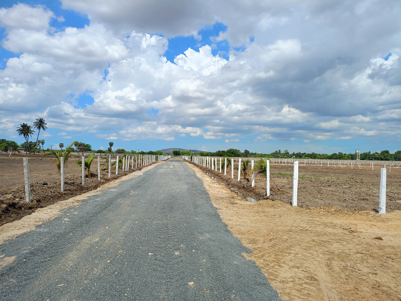  10000 Sq.ft. Agricultural/Farm Land for Sale in Walajabad, Kanchipuram