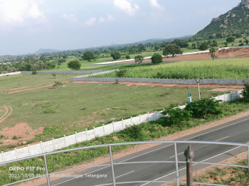  Agricultural Land for Sale in Amangal, Hyderabad