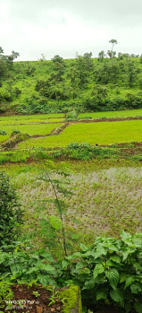  Agricultural Land for Sale in Shahapur, Thane