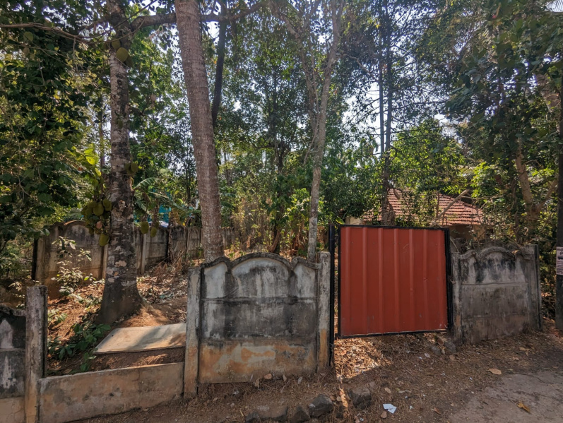 Residential Plot 4 Cent for Sale in Arimboor, Thrissur