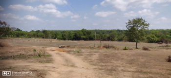 Agricultural Land for Sale in Tirthahalli, Shimoga