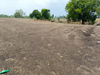  Agricultural Land for Sale in Vithalapur, Ahmedabad