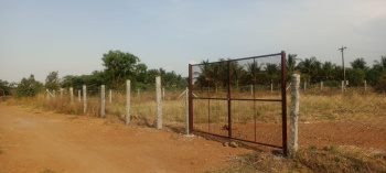 Agricultural Land for Sale in Allinagaram, Theni