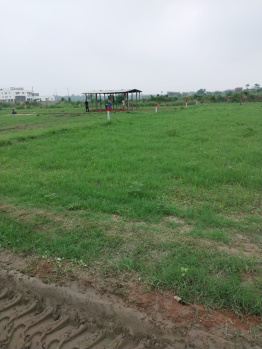  Residential Plot for Sale in Dhoi, Darbhanga