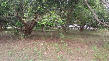  Agricultural Land for Sale in Gajapathinagaram, Vizianagaram
