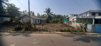  Residential Plot for Sale in Puthuvype, Kochi
