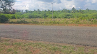  Agricultural Land for Sale in Kanakapura Road, Bangalore