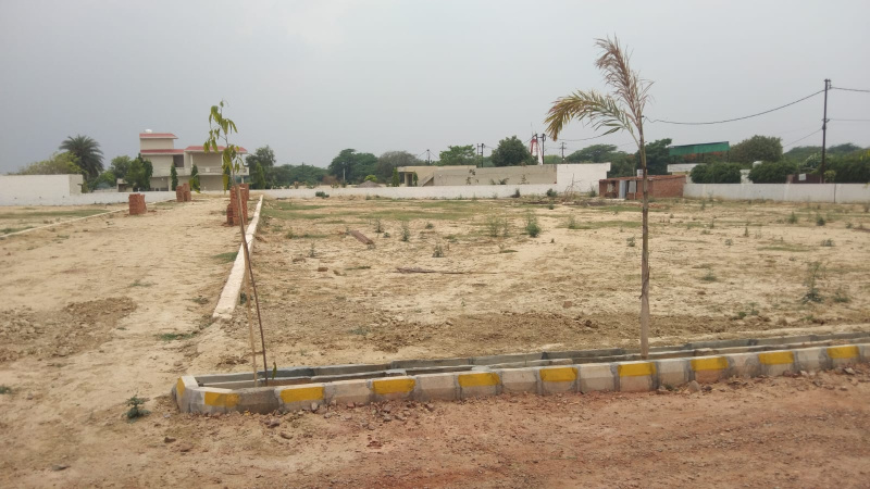  Residential Plot 100 Sq. Yards for Sale in Yamuna Expressway, Greater Noida