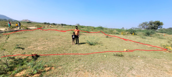 Residential Plot for Sale in Dhone, Kurnool