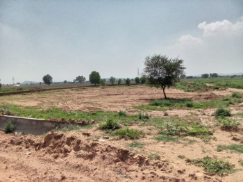  Agricultural Land for Sale in Narnaul, Mahendragarh