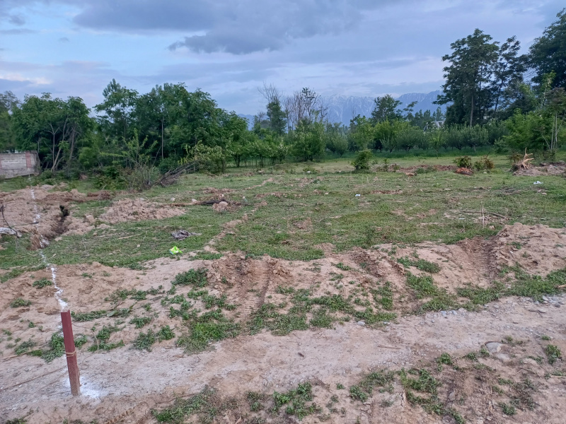  Residential Plot 1200 Marla for Sale in Sadiq Abad, Anantnag