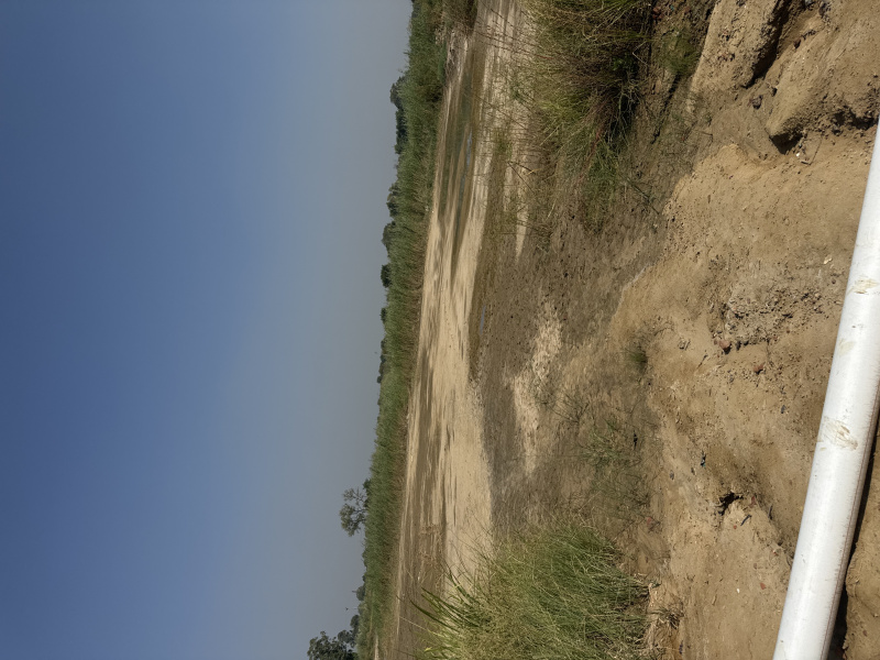  1 Acre Residential Plot for Sale in Badli, Jhajjar