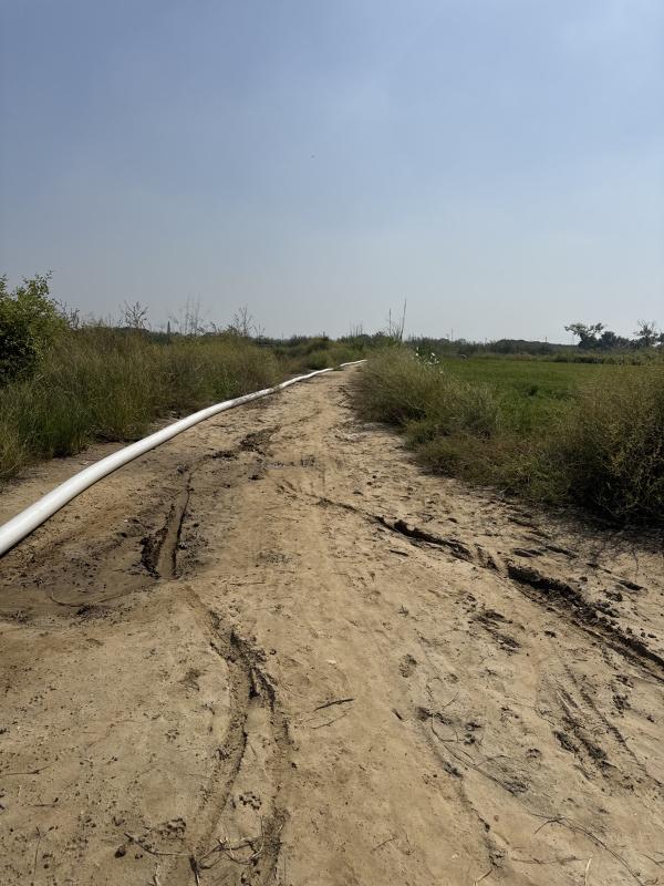  1 Acre Residential Plot for Sale in Badli, Jhajjar