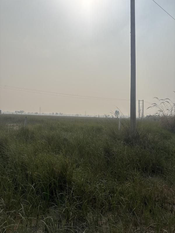  2 Acre Residential Plot for Sale in Loharu Road, Charkhi Dadri
