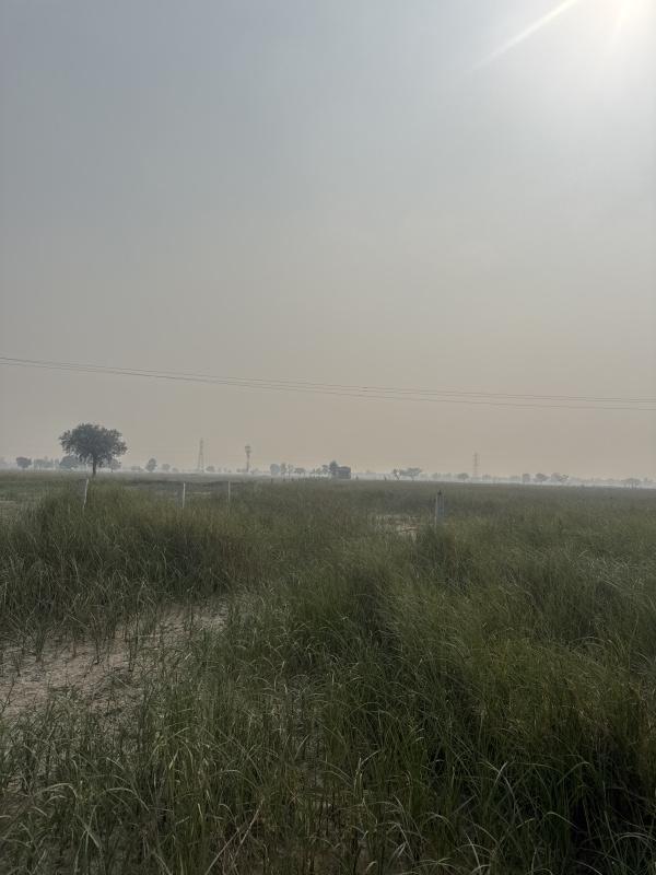  2 Acre Residential Plot for Sale in Loharu Road, Charkhi Dadri