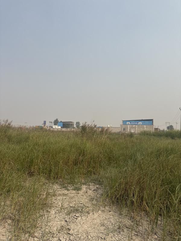  2 Acre Residential Plot for Sale in Loharu Road, Charkhi Dadri