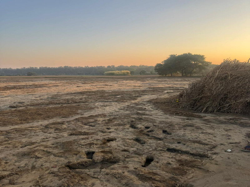  3 Acre Residential Plot for Sale in Beri, Jhajjar